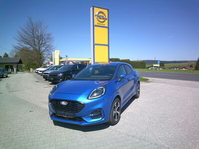 Ford Puma Gebrauchtwagen