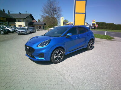 Ford Puma Gebrauchtwagen