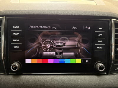 Skoda Karoq Gebrauchtwagen