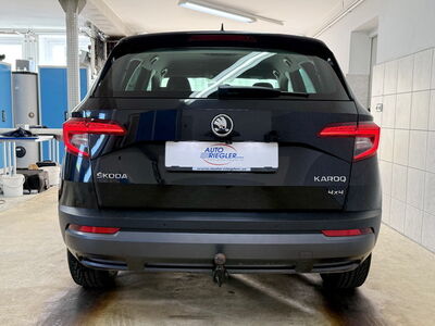 Skoda Karoq Gebrauchtwagen