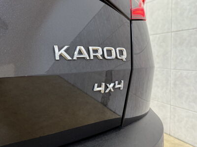 Skoda Karoq Gebrauchtwagen