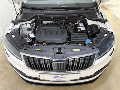 Skoda Karoq Gebrauchtwagen