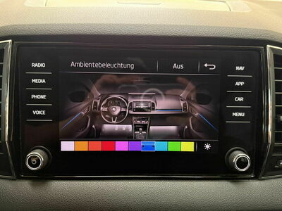 Skoda Karoq Gebrauchtwagen