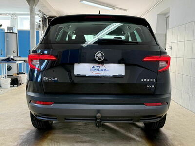 Skoda Karoq Gebrauchtwagen