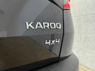 Skoda Karoq Gebrauchtwagen