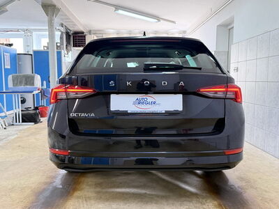 Skoda Octavia Gebrauchtwagen