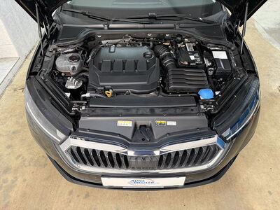 Skoda Octavia Gebrauchtwagen Skoda Octavia Gebrauchtwagen