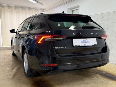 Skoda Octavia Gebrauchtwagen Skoda Octavia Gebrauchtwagen