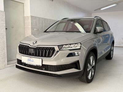 Skoda Karoq Gebrauchtwagen