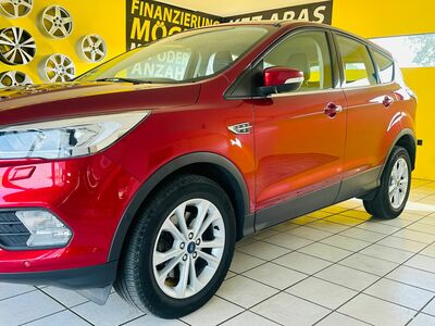 Ford Kuga Gebrauchtwagen