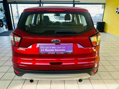 Ford Kuga Gebrauchtwagen