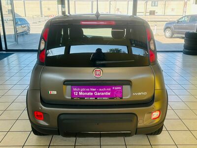 Fiat Panda Gebrauchtwagen