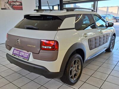 Citroën C4 Cactus Gebrauchtwagen
