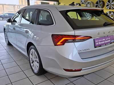 Skoda Octavia Gebrauchtwagen