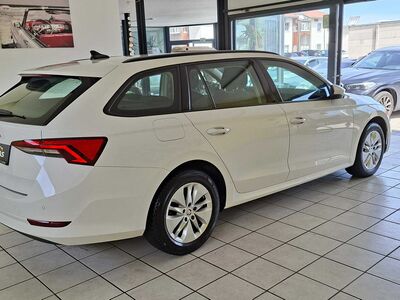 Skoda Octavia Gebrauchtwagen Skoda Octavia Gebrauchtwagen