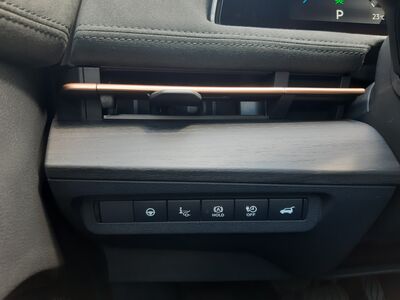 Nissan Ariya Vorführwagen