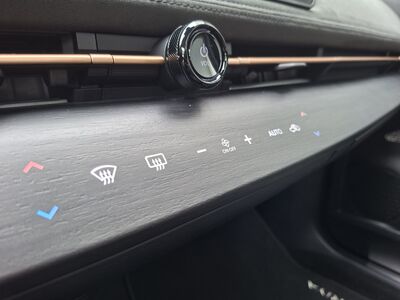 Nissan Ariya Jahreswagen Nissan Ariya Jahreswagen