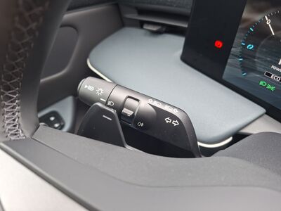 Nissan Leaf Neuwagen