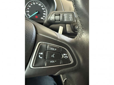 Ford EcoSport Gebrauchtwagen