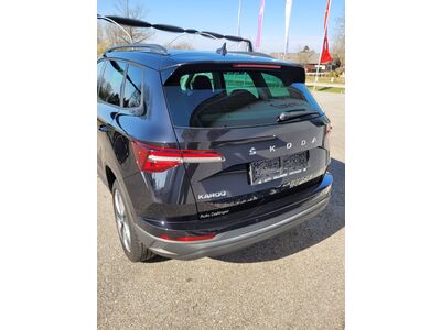 Skoda Karoq Gebrauchtwagen