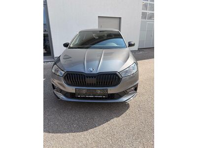 Skoda Fabia Gebrauchtwagen Skoda Fabia Gebrauchtwagen