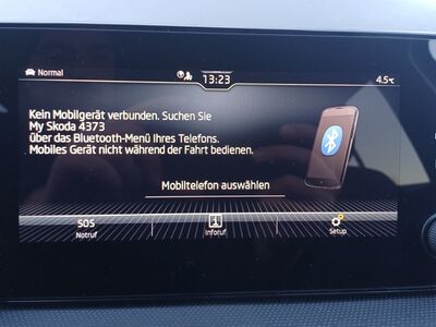 Skoda Fabia Jahreswagen