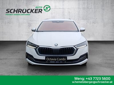 Skoda Octavia Gebrauchtwagen