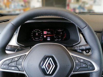 Renault Arkana Gebrauchtwagen