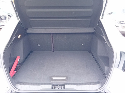 Renault Arkana Gebrauchtwagen