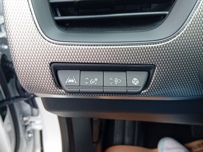 Renault Arkana Gebrauchtwagen