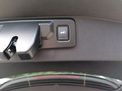 Renault Austral Vorführwagen