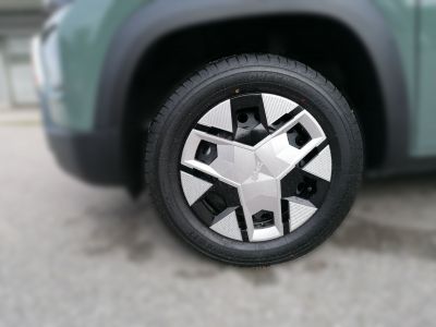 Dacia Spring Vorführwagen