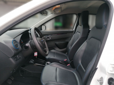 Dacia Spring Gebrauchtwagen