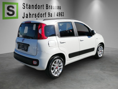 Fiat Panda Gebrauchtwagen