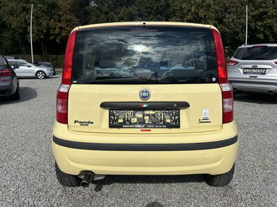 Fiat Panda Gebrauchtwagen