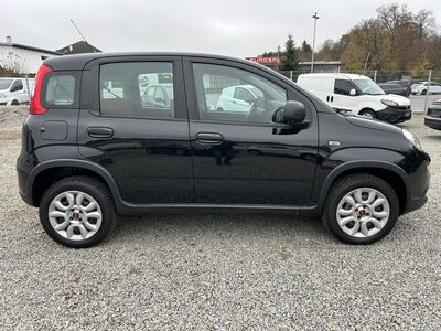 Fiat Panda Gebrauchtwagen