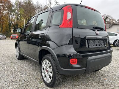 Fiat Panda Gebrauchtwagen