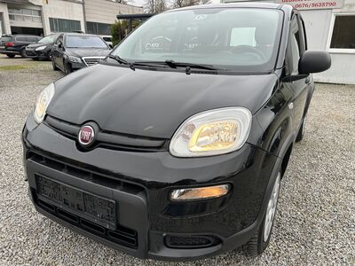 Fiat Panda Gebrauchtwagen