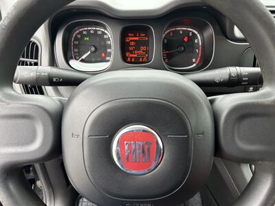 Fiat Panda Gebrauchtwagen