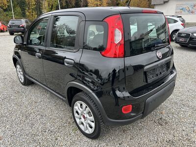 Fiat Panda Gebrauchtwagen