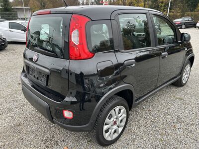 Fiat Panda Gebrauchtwagen