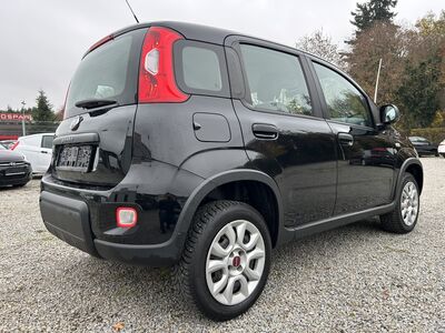 Fiat Panda Gebrauchtwagen