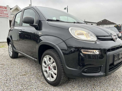 Fiat Panda Gebrauchtwagen