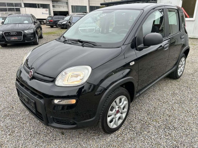 Fiat Panda Gebrauchtwagen