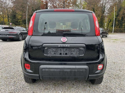 Fiat Panda Gebrauchtwagen