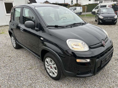 Fiat Panda Gebrauchtwagen