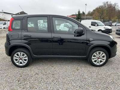 Fiat Panda Gebrauchtwagen