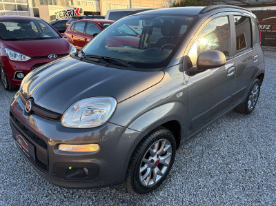 Fiat Panda Gebrauchtwagen