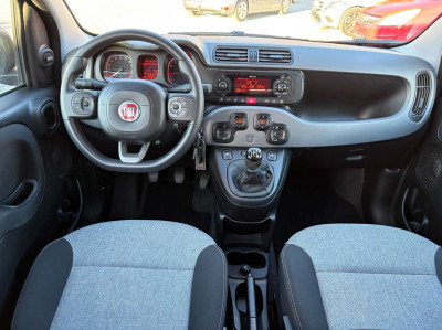 Fiat Panda Gebrauchtwagen Fiat Panda Gebrauchtwagen