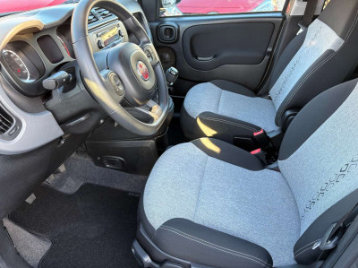 Fiat Panda Gebrauchtwagen Fiat Panda Gebrauchtwagen